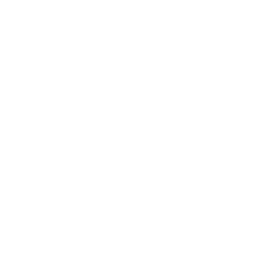 Accessibility Icon